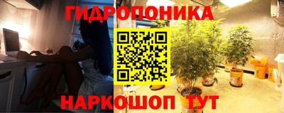 гидра Малоярославец