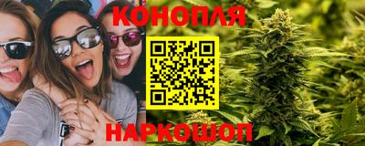гидра Малоярославец
