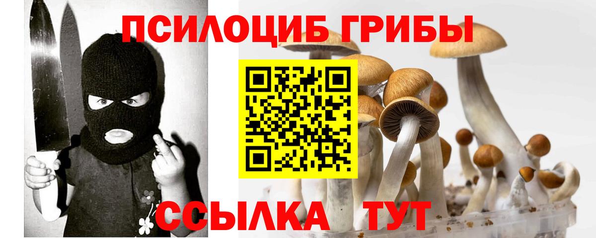 Калуга  Псилоцибиновые грибы Psilocybine cubensis  Вход с VPN 